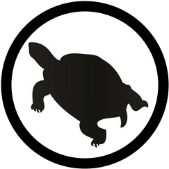 kilpikonnat / turtles and tortoises